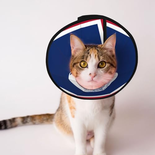 Wyoming State Flag Weiches Hundehalsband, Depets Verstellbare Genesung Haustier Kegel E-Halsband für Katzen Kätzchen Kaninchen, bequemes elisabethanisches Halsband Wyoming State Flag Weiches Hundehalsband, Depets Verstellbare Genesung Haustier Kegel E-Halsband für Katzen Kätzchen Kaninchen, bequemes elisabethanisches Halsband von BOXILTD