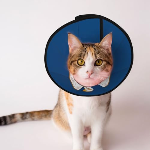 qtyvgtic Weiches Hundehalsband, Depets Verstellbare Genesung Haustier Kegel E-Halsband für Katzen Kätzchen Kaninchen, bequemes elisabethanisches Halsband von BOXILTD