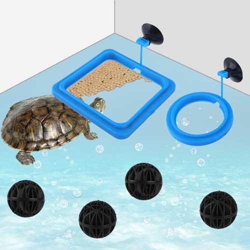 2 Stück Fischfütterungsring, Rund Und Quadratisch Futterring für Aquarien mit 4 Stück Nitrifizierungskugeln Saugnapf Aquarium Futterkreis für Schildkröten Goldfische Guppys Kois Kugelfische 2 Stück Fischfütterungsring, Rund Und Quadratisch Futterring für Aquarien mit 4 Stück Nitrifizierungskugeln Saugnapf Aquarium Futterkreis für Schildkröten Goldfische Guppys Kois Kugelfische von BOXOB