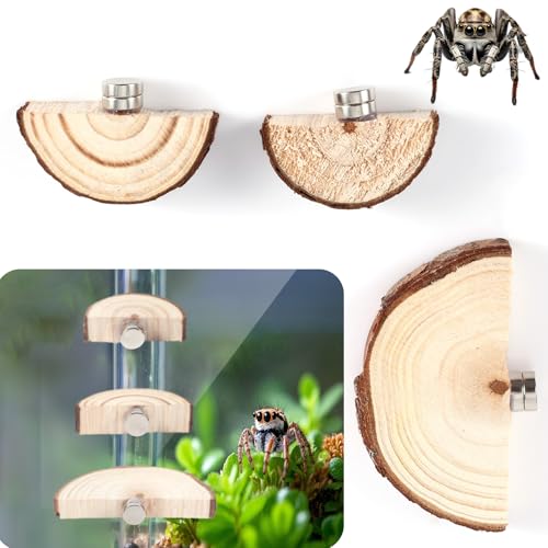 3stk Gehegeleisten für Springspinnen, Magnetisch Gehegeleisten für Springspinnen Lebensraum für Springspinnen Gehegezubehör für Springspinnen Springspinne Terrarium Zubehör (Bogen) von BOXOB