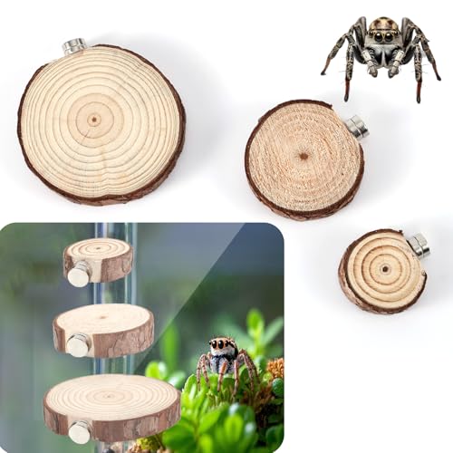 3stk Gehegeleisten für Springspinnen, Magnetisch Gehegeleisten für Springspinnen Lebensraum für Springspinnen Gehegezubehör für Springspinnen Springspinne Terrarium Zubehör (Rund) von BOXOB