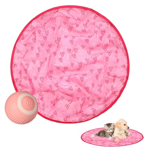 BOXOB 2 Stück Gitarren Katzenspielzeug, 2-in-1 Jagdkatzenspielzeug Katzenspielzeug Interaktiv Katzenspielzeughülle & Rosa Ball zum Spielen im Innenbereich Geburtstagsgeschenk BOXOB 2 Stück Gitarren Katzenspielzeug, 2-in-1 Jagdkatzenspielzeug Katzenspielzeug Interaktiv Katzenspielzeughülle & Rosa Ball zum Spielen im Innenbereich Geburtstagsgeschenk von BOXOB