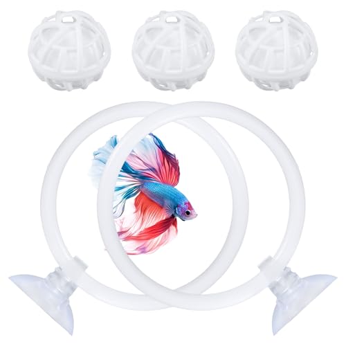 BOXOB 2 st Trainingsring und Filterbälle-Set für Kampffische, Fisch-Trainingsschlaufe mit 2 Saugnäpfen und 3 Filterbällen Aquariumspielzeug Angeltank-Zubehör als Geschenk für Angelliebhaber von BOXOB