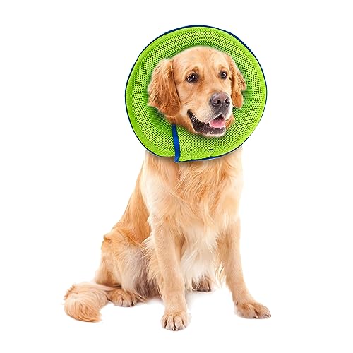 BOXOB Hunde Kegel, Genesungshalsband für Kleine Mittelgroße und Große Hunde Hundehalsband für Hunde nach Operationen das Verhindert DASS Haustiere Wunden Berühren (XL) von BOXOB