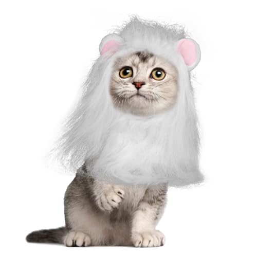 BOXOB Löwenmähnenperücke für Katzen, Löwenmähnenhut Weiche Tierperückenhüte Waschbares Kostüm für Halloween Weihnachten Ostern Geburtstage Festivals Cosplay Partyaktivitäten (Größe M, Weiß) von BOXOB