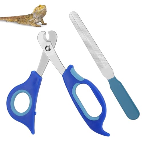BOXOB Nagelknipser und Feile für Bartagamen, Edelstahl Kleintiere Zehennagelknipser Schere Professionelles Fellpflege Haustierwerkzeug für Reptilien Schildkröten Chamäleons Leguane (Blau) von BOXOB