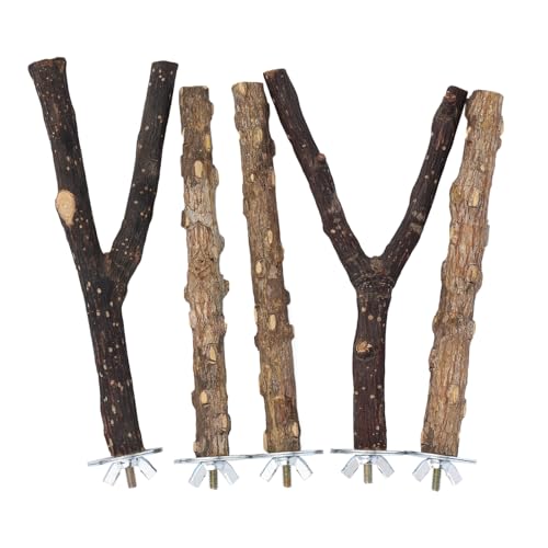 Vogelholz-Sitzstangen-Set, Papageienständer aus Holz Vogelkäfig-Sitzstangenständer Spielzeug-Vögel Käfigzubehör für Papageien Nymphensittiche Wellensittiche Kleine Mittelgroße Vögel Vogelholz-Sitzstangen-Set, Papageienständer aus Holz Vogelkäfig-Sitzstangenständer Spielzeug-Vögel Käfigzubehör für Papageien Nymphensittiche Wellensittiche Kleine Mittelgroße Vögel von BOXOB