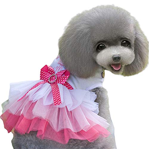 BOduShang Hundebekleidung Niedliches Katze Kleidung Rüschen Katzenkleidung Spitze Kleidung Für Hunde for Hochzeit Geburtstagsparty Weihnachten Party Zuhause Draussen pink,Medium BOduShang Hundebekleidung Niedliches Katze Kleidung Rüschen Katzenkleidung Spitze Kleidung Für Hunde for Hochzeit Geburtstagsparty Weihnachten Party Zuhause Draussen pink,Medium von BOduShang