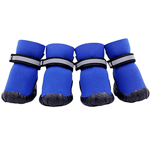 BOduShang Hundeschuhe rutschfest Hunde Schneeschuhe Sanft Schneeschuhe FüR Hunde Tragbar Hunde Schuhe Schnee for Drinnen Draussen Spaziergang Mit Dem Hund Reise Blue,#3 BOduShang Hundeschuhe rutschfest Hunde Schneeschuhe Sanft Schneeschuhe FüR Hunde Tragbar Hunde Schuhe Schnee for Drinnen Draussen Spaziergang Mit Dem Hund Reise Blue,#3 von BOduShang
