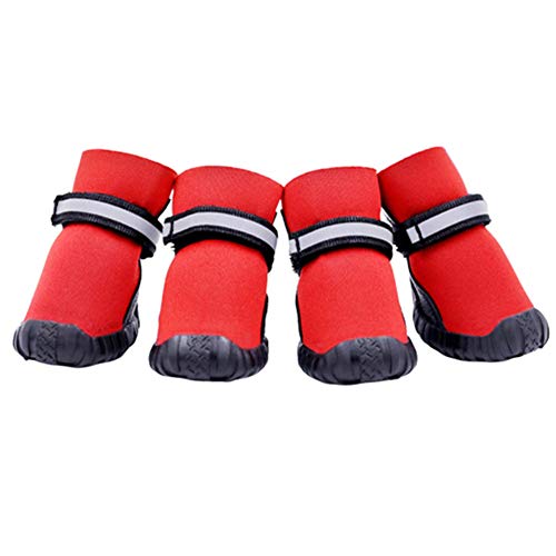 BOduShang Hundeschuhe rutschfest Hunde Schneeschuhe Sanft Schneeschuhe FüR Hunde Tragbar Hunde Schuhe Schnee for Drinnen Draussen Spaziergang Mit Dem Hund Reise red,#1 BOduShang Hundeschuhe rutschfest Hunde Schneeschuhe Sanft Schneeschuhe FüR Hunde Tragbar Hunde Schuhe Schnee for Drinnen Draussen Spaziergang Mit Dem Hund Reise red,#1 von BOduShang