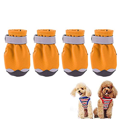 BOduShang Hundeschuhe rutschfest Hunde Schneeschuhe Wasserdicht Schneeschuhe FüR Hunde Sanft Schneeschuhe Hund for Drinnen Draussen Spaziergang Mit Dem Hund Reise orange,#1 BOduShang Hundeschuhe rutschfest Hunde Schneeschuhe Wasserdicht Schneeschuhe FüR Hunde Sanft Schneeschuhe Hund for Drinnen Draussen Spaziergang Mit Dem Hund Reise orange,#1 von BOduShang