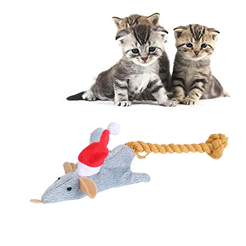 BOduShang Katzen Spielzeug Plüsch Spielzeug Katze Interaktives Cat Toys Lustiges Katzen Spielsachen for Kätzchen Und Katzen Haustiere Katzenübungen Green von BOduShang