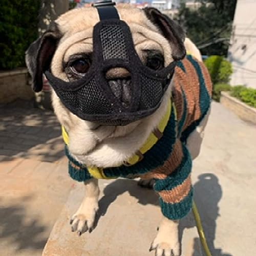 Hundemaulkorb, Maulkorb, Maulkorb, Hundemaulkorb mit verstellbarem, abgeflachtem Maulkorb, Anti-Biss, atmungsaktive Maske für Haustiere,L Hundemaulkorb, Maulkorb, Maulkorb, Hundemaulkorb mit verstellbarem, abgeflachtem Maulkorb, Anti-Biss, atmungsaktive Maske für Haustiere,L von BPILOT