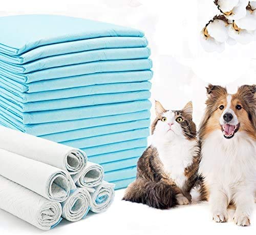 BPS Hygieneunterlagen für Haustiere Trainingssoakers Kohlenstoff-Trainingpads für Haustiere und Welpen Trainingsunterlagen für Welpen Super saugfähig Einzigartige (40pcs 56 * 56 cm) BPS-2193 von BPS BUENA PET SHOP