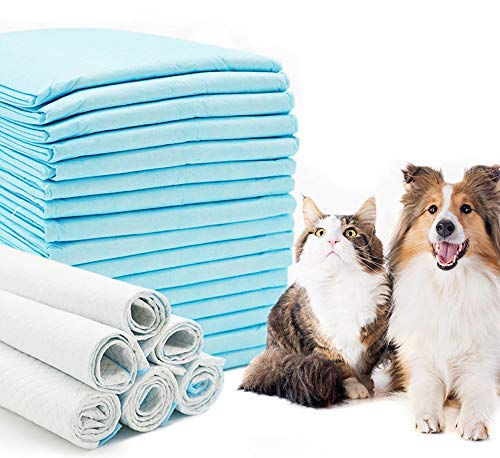 BPS Trainingsunterlagen für Welpen Puppy Pads super saugfähig Saugstarke Welpenunterlage Pads Für Hundeerziehung Welpenerziehung (80pcs 56 * 56 cm) BPS-2193 * 2 von BPS BUENA PET SHOP