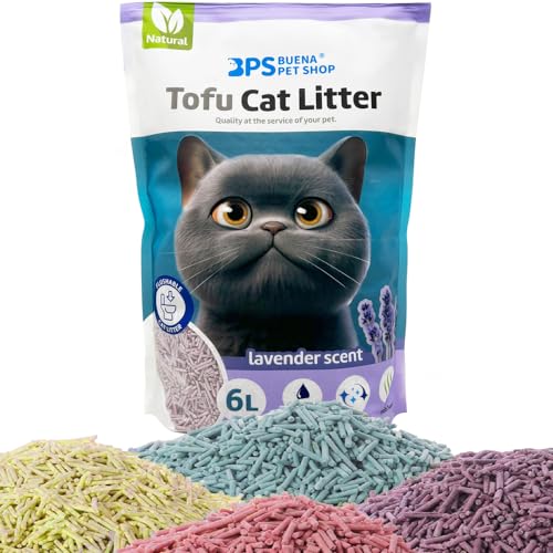 BPS BPS-15458 Katzenstreu von Tofu für Katzen, puderfrei, leicht zu verklumpen, kontrolliert Gerüche in die Toilette (1 Stück, Lavendel) von BPS BUENA PET SHOP