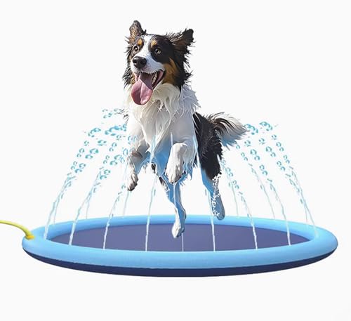 BPS BPS-15901 Pool für Haustiere, 100 cm, aus strapazierfähigem PVC, rutschfest und einfach zu installieren, ideal für Hunde von BPS BUENA PET SHOP