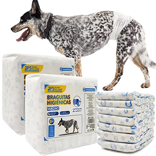 BPS 16 Stück Windel für Hunde Sanitär Einweg Haustiere Männlich Training Super Absorbierende Hygienische Höschen 4 Größen (S) BPS-2204*2 von BPS BUENA PET SHOP