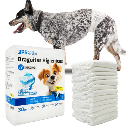 BPS BPS-2218 Hygiene-Höschen, männlich, für Hunde, Haustiere, hygienisch, 3 Größen zur Auswahl, 30 Stück BPS BPS-2218 Hygiene-Höschen, männlich, für Hunde, Haustiere, hygienisch, 3 Größen zur Auswahl, 30 Stück von BPS BUENA PET SHOP