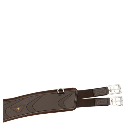 BR Gurtband Poly Anatomic Vielseitigkeit 145 Braun BR Gurtband Poly Anatomic Vielseitigkeit 145 Braun von BR