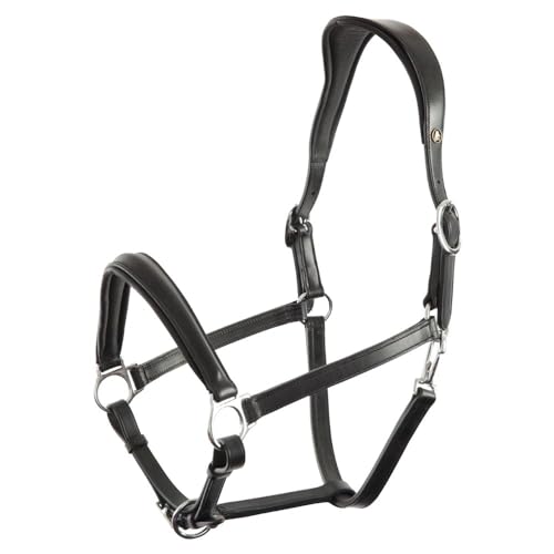 BR Halfter Aberdeen - Size Full BR Halfter Aberdeen - Size Full von BR