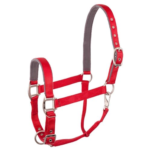BR Halfter Event Nylon - Size Full BR Halfter Event Nylon - Size Full von BR