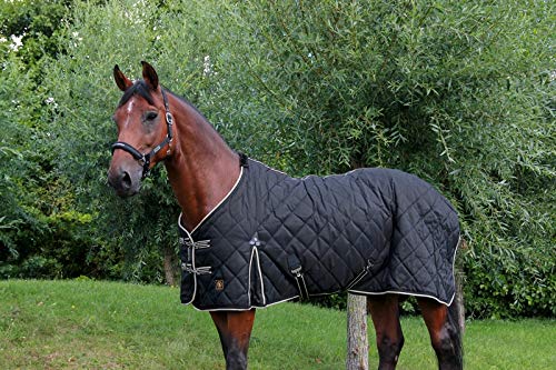 BR Haustierdecke Classic 1200D - 300g - Schwarz - Größe 155 cm - Witterungsbeständig - Polyester/Nylon - Pferd BR Haustierdecke Classic 1200D - 300g - Schwarz - Größe 155 cm - Witterungsbeständig - Polyester/Nylon - Pferd von BR