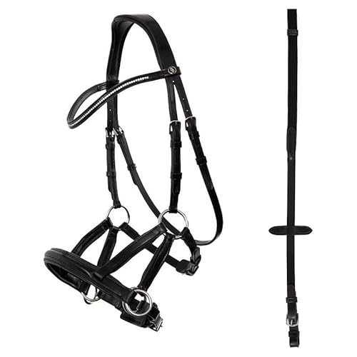 BR Trensenzaum Lewes Side & Pull BR Trensenzaum Lewes Side & Pull von BR