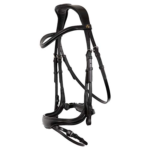 BR Trensenzaum Longridge von BR