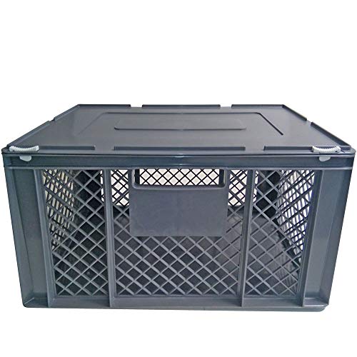 XL Transportbox für Kleintiere/Katzen/Kleine Hunde, Seitenwände vergittert, Boden geschlossen - LxBxH 600x400x320 mm, mit Scharnierdeckel von BRB
