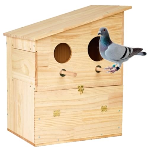 BREUAILY Extra großer Vogel-Nistkasten aus Naturholz, Wellensittich, Nistkasten mit transparentem Fenster und Sitzstange, zum Aufhängen, für Papageien, Paarungsbox für Finken, Lovebirds von BREUAILY