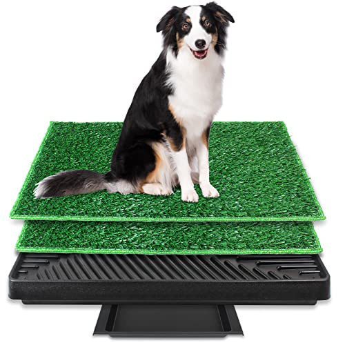 BRIAN & DANY 76 x 51 cm Hundetoilette Hundeklo Trainingsunterlage mit 2 Austauschbarer Kunstrasen, Hundetoilette Balkon Indoor/Outdoor für Kleine Hunde Grosse Hunde ältere BRIAN & DANY 76 x 51 cm Hundetoilette Hundeklo Trainingsunterlage mit 2 Austauschbarer Kunstrasen, Hundetoilette Balkon Indoor/Outdoor für Kleine Hunde Grosse Hunde ältere von BRIAN & DANY