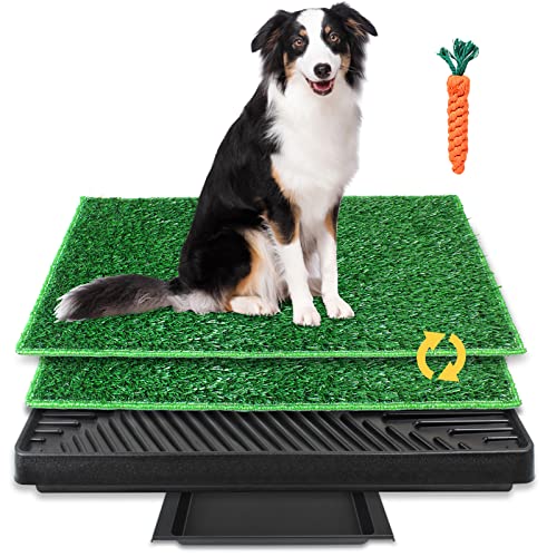 BRIAN & DANY Hundeklo Hundetoilette Trainingsunterlage mit 2 Austauschbarer Kunstrasen, Indoor/Outdoor Hundetöpfchen für Kleine Hunde Grosse Hunde ältere, 63 X 51cm BRIAN & DANY Hundeklo Hundetoilette Trainingsunterlage mit 2 Austauschbarer Kunstrasen, Indoor/Outdoor Hundetöpfchen für Kleine Hunde Grosse Hunde ältere, 63 X 51cm von BRIAN & DANY