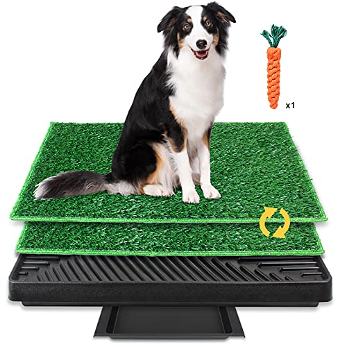 BRIAN & DANY Hundetoilette, Hundeklo Hundetoilette Balkon Trainingsunterlage mit 2X Hunde Pinkelmatte und Auffangschale für Drinnen und Draußen, 63 X 51 cm BRIAN & DANY Hundetoilette, Hundeklo Hundetoilette Balkon Trainingsunterlage mit 2X Hunde Pinkelmatte und Auffangschale für Drinnen und Draußen, 63 X 51 cm von BRIAN & DANY