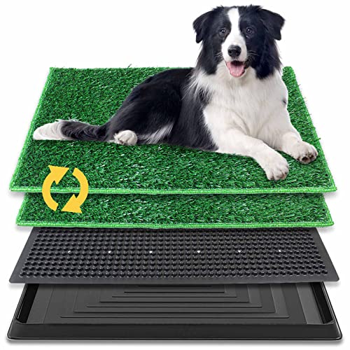 BRIAN & DANY 76 x 51 cm Hundetoilette Hundeklo Trainingsrasen für Welpen, Hundetoilette Balkon mit 2X Kunstrasenmattes und Auffangschale für Drinnen und Draußen BRIAN & DANY 76 x 51 cm Hundetoilette Hundeklo Trainingsrasen für Welpen, Hundetoilette Balkon mit 2X Kunstrasenmattes und Auffangschale für Drinnen und Draußen von BRIAN & DANY