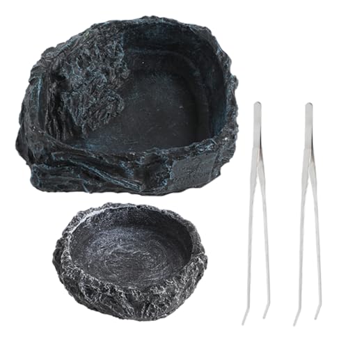 BRIGHTFUFU Reptilien Futternapf Mit Wasserschale Und Langen Zangen Für Bearded Dragons Eidechsen Und Schlangen Praktische Futter Wasserschalen Für Reptilienhaltung BRIGHTFUFU Reptilien Futternapf Mit Wasserschale Und Langen Zangen Für Bearded Dragons Eidechsen Und Schlangen Praktische Futter Wasserschalen Für Reptilienhaltung von BRIGHTFUFU