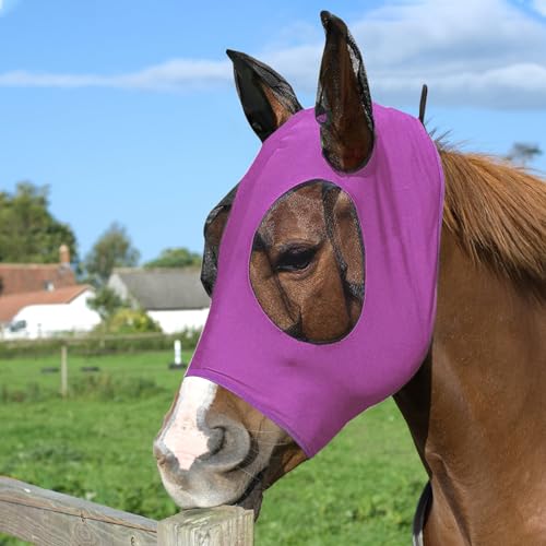 Pferde Fliegenmaske, Fliegenmaske UV-Schutz Ohren und Nasenschutz Fliegenhaube Pferde Fliegenmaske Elastizität Fliegenmaske mit Ohrenschutz Elastische Bremsenmaske Anti-UV, Anti-Mücken (Lila) von BRISKORE