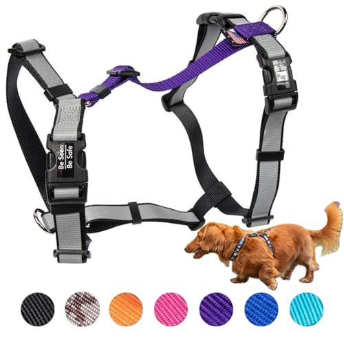 Brite Pup Hundegeschirr für kleine Hunde, vollständig anpassbar, reflektierend, strapazierfähig, für Spaziergänge und Training, kein Würgen, bequemes Halsband-Design, hergestellt in den USA, Größe S, Brite Pup Hundegeschirr für kleine Hunde, vollständig anpassbar, reflektierend, strapazierfähig, für Spaziergänge und Training, kein Würgen, bequemes Halsband-Design, hergestellt in den USA, Größe S, von BRITE PUP