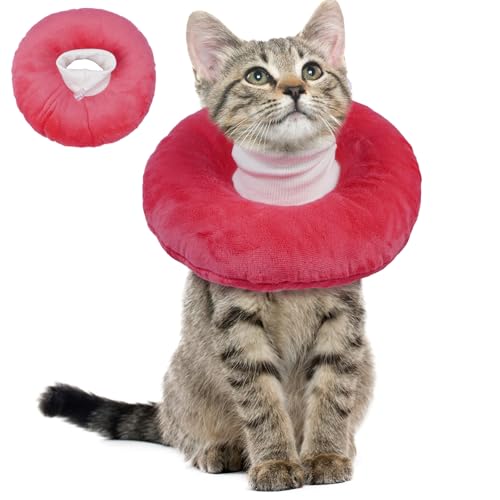 BRKURLEG Katzenkegel-Halsband, weich, niedlich, Katzen-Genesungskegel, weicher schützender Haustier-Halskegel, verstellbare Kätzchenzapfen gegen Lecken, Wundheilung, elisabethanisches Halsband, Rosa, BRKURLEG Katzenkegel-Halsband, weich, niedlich, Katzen-Genesungskegel, weicher schützender Haustier-Halskegel, verstellbare Kätzchenzapfen gegen Lecken, Wundheilung, elisabethanisches Halsband, Rosa, von BRKURLEG