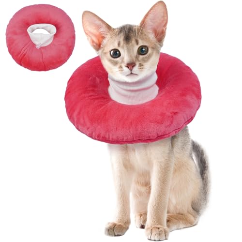 BRKURLEG Katzenkegel-Halsband, weich, niedlich, Katzen-Genesungskegel, weicher schützender Haustier-Halskegel, verstellbare Kätzchenzapfen gegen Lecken, Wundheilung, elisabethanisches Halsband, Rosa, BRKURLEG Katzenkegel-Halsband, weich, niedlich, Katzen-Genesungskegel, weicher schützender Haustier-Halskegel, verstellbare Kätzchenzapfen gegen Lecken, Wundheilung, elisabethanisches Halsband, Rosa, von BRKURLEG