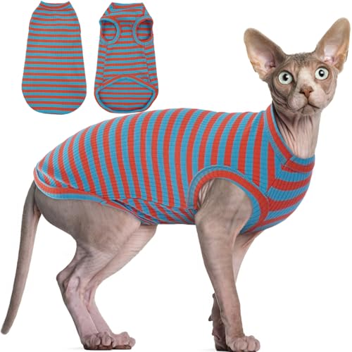 BRKURLEG T-Shirt für haarlose Katzen, gestreift, Pullover, Kätzchen, ärmellos, Sommer, Rundkragen, Baumwolle, Katzenkleidung, Weste für Cornish Rex, Devon Rex Peterbald und kleine Hunde, orange-blau BRKURLEG T-Shirt für haarlose Katzen, gestreift, Pullover, Kätzchen, ärmellos, Sommer, Rundkragen, Baumwolle, Katzenkleidung, Weste für Cornish Rex, Devon Rex Peterbald und kleine Hunde, orange-blau von BRKURLEG