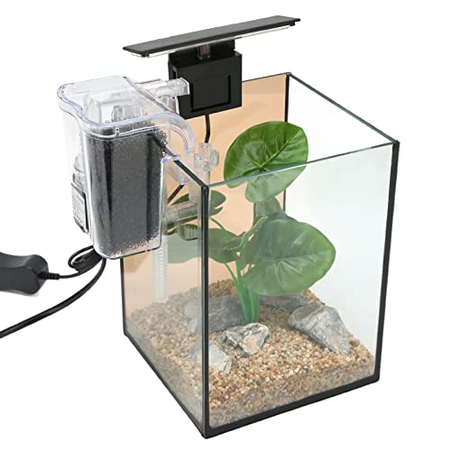 Kleines Aquarium-Starter-Set, Innovatives Aquarium-Set, Hochtransparente Landschaftsgestaltung mit Filterpumpe, LED-Clip-Licht für Desktop-Dekoration (EU-Stecker 220 V) von BROLEO
