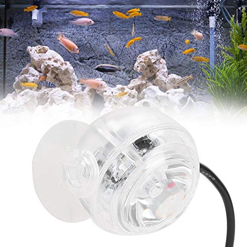 BROLEO Wasserdichter Spot, Nachtspot, für Aquarien (EU-Stecker) von BROLEO