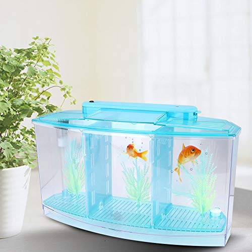 Mini-Desktop-Aquarium, Transparent, Kleines Aquarium, mit Wasserwechselventil und LED-Licht für Betta-Kleinfische (Blue) von BROLEO