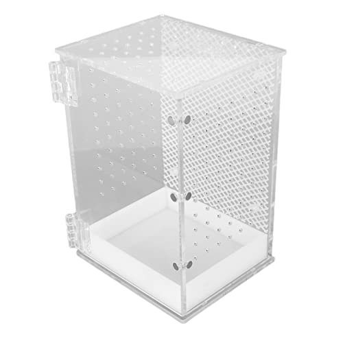 Tarantula Box Wasserdicht Sicher Solide Transparent Acryl Reptilien-Box für Frösche und Leopardengeckos (Klein) von BROLEO