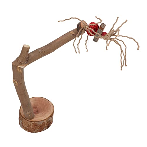 Vogelständer, klein, sicher, für Papageien, Spielboden, Krallen, Schleifen, Kauen, abnehmbar, für Nymphensittiche für Sittiche Vogelständer, klein, sicher, für Papageien, Spielboden, Krallen, Schleifen, Kauen, abnehmbar, für Nymphensittiche für Sittiche von BROLEO