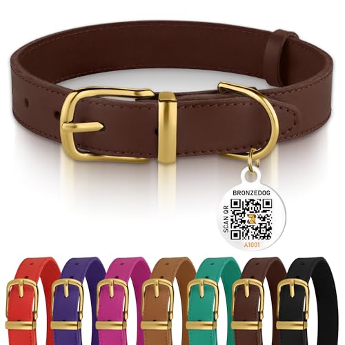 BRONZEDOG Hundehalsband aus Leder mit Schnalle, langlebig, Basic, Haustierhalsbänder für kleine, mittelgroße und große Hunde, Welpen, Katzen, Kätzchen (Halsumfang 27,9 cm - 33 cm, Dunkelbraun) von BRONZEDOG