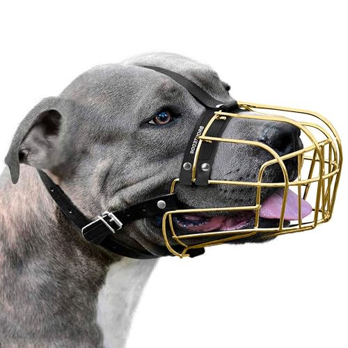 BRONZEDOG Maulkorb für Hunde, Metallmaske, für Amstaff, Pitbull, verstellbare Lederriemen für große Hunde, Gold von BRONZEDOG