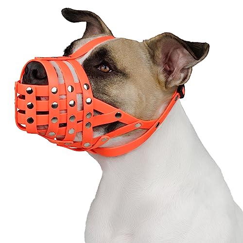 BRONZEDOG Pitbull Maulkorb für Hunde, atmungsaktiv, Metallkorb für große Hunde, Amstaff Staffordshire Terrier, Beißen, Kauen, Bellen (Orange) von BRONZEDOG