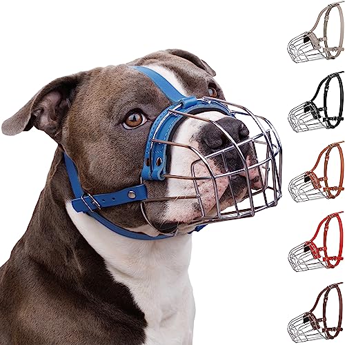 BRONZEDOG Pitbull Maulkorb für Hunde, atmungsaktiv, Metall, für große Hunde, Amstaff Staffordshire Terrier, Beißen, Kauen, Bellen (Leder, Blau) von BRONZEDOG